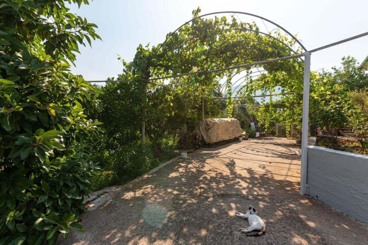 Serene Seaside Bliss - Lush & Secluded Garden Oasis 칼라마타 외부 사진